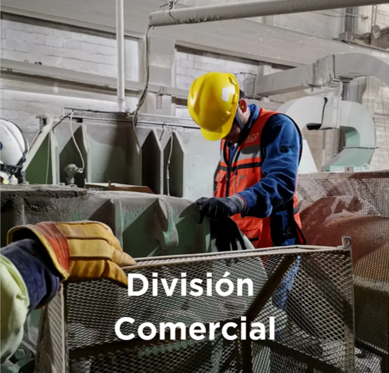División Comercial